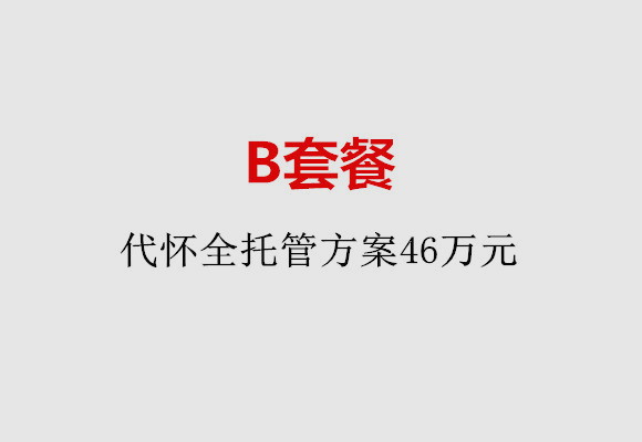 无锡B套餐：代怀全托管方案46万元